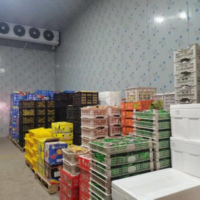 Chine Microcomputer Cold Storage Room For Fruits And Vegetables With -20°C To 10°C Temperature Range à vendre