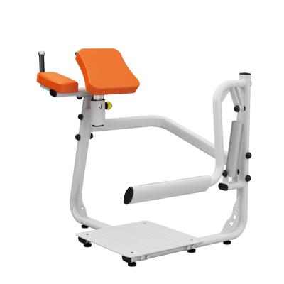 China Promotion Glute Insulator Gym Fitness Equipment Multi Functional Legs Bend Hydraulic Bench Fitness Equipment For Sale for sale