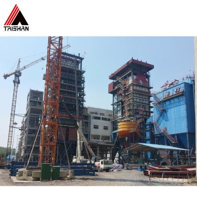 China VERTICAL Biomass Boiler Power Plant Boiler Wood Chips Fired Steam Boiler for sale