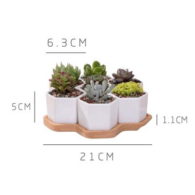 China Eco - Friendly Hexagonal Bamboo Rack Potted Plant Combined Ceramic Flower Pot for sale