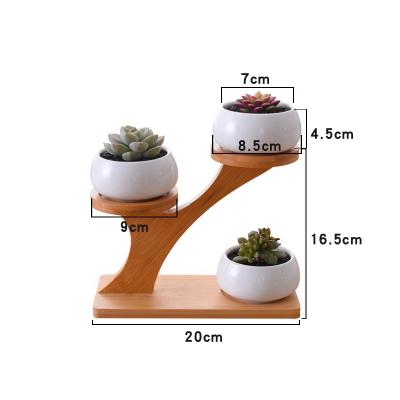 China Eco - Friendly White Round Ceramic Plant Fleshy Succulent Flower Pot for sale