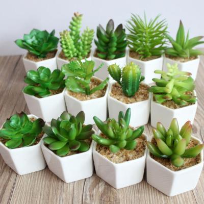 China Fashional Manufacturer Outdoor Decoration Mini Artificial Potted Succulent Plants for sale