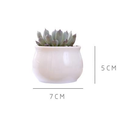 China Eco-friendly white fleshy mini pot plant drum belly drum pot ceramic flowerpot for sale