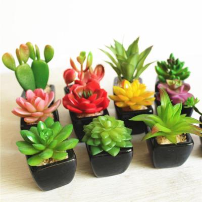 China Eco-friendly Mini Succulent Plant Black Square Artificial Bonsai Succulent Pot for sale