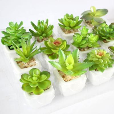 China Eco-friendly DIY Mini Succulent Plant White Custom Artificial Succulent Pot for sale