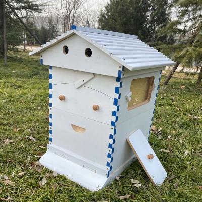 中国 Auto Artesian bee hive/Artesian hive beehive automatic Artesian honey bee hive 販売のため