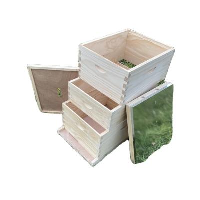 中国 Preferential cheap bee hives and Super box with Deep box Bee Keeping Beehive Sale Australia Bee Hive 販売のため