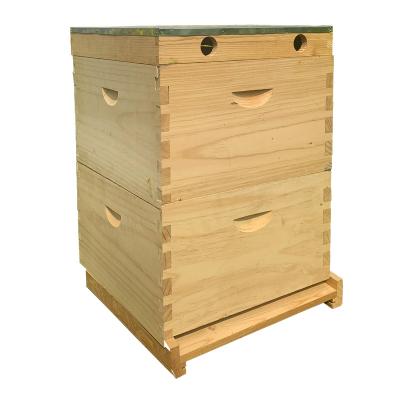 China Factory Supply Australian Pine Wood Bee Hive With 10 Frame / High Quality Bee Hive For Beekeeping for sale