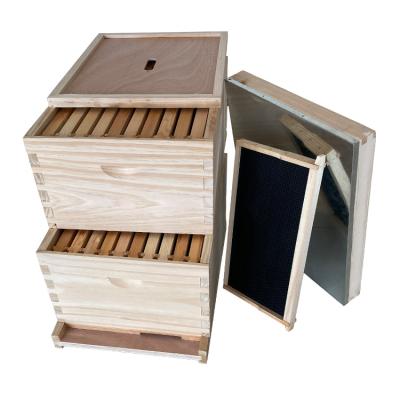 China High quality 10 Frames Langstroth Bee Hive Langstroth Beehive Wooden Langstroth Honey Bee Hive Box for sale