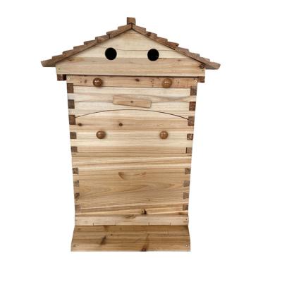 China Beekeeping Hive Auto Wooden Bee Hive Honey Bee Box for Sale Automatic Wood Beehive for sale