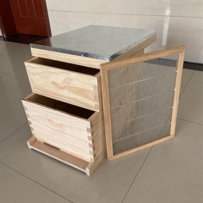 中国 Factory Price Beehive 2-layer Honey Bee Box for Sale Wood Bee Kits Langstroth Bee Hive 販売のため