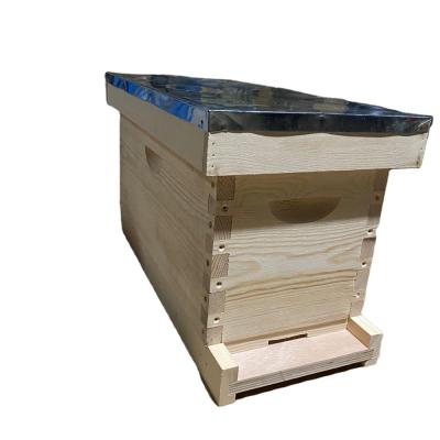 China 2020 5 Frame wooden beehive queen rearing beekeeping bee hive nuc bee box wooden beehive queen for sale