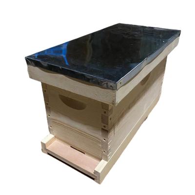 中国 Best-selling/Wooden beehive beehive with 5 frame Nuc box 販売のため