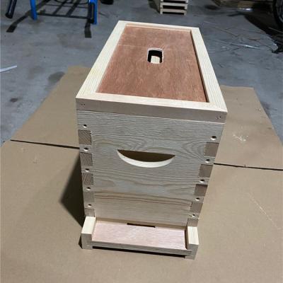 China Hot sale apiculture equipment beehive beekeeping Nuc beehive with 5 frames for Queen bee en venta