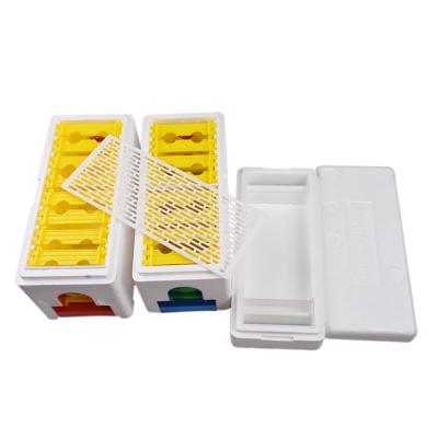 China EPS Queen Bee hives Nuc Box bee Mating beehive plastic beehive Mating Nucs Beehive en venta