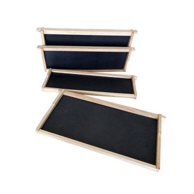 China Hot Selling Black Bee Foundation Wood Frames Plastic Comb with Wood Bee Frame en venta