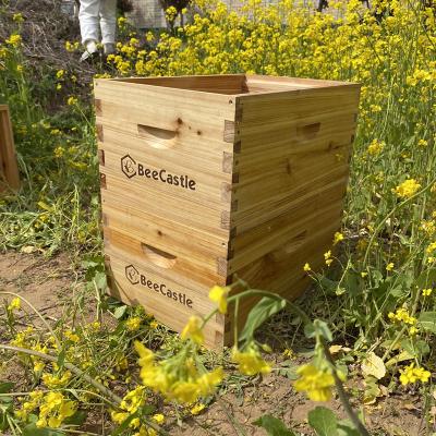 Chine Factory outlet wax dipped beehive with two deep boxes wooden beehive box without frames on sale à vendre