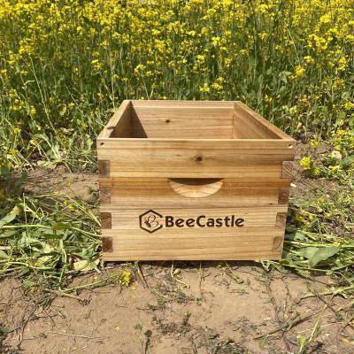 China Hot sale beehive box with deep box langstroth beehive wooden beehive for beeskeeping on sale en venta