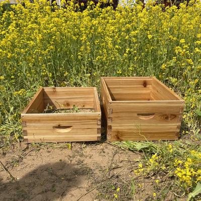 China Hot sale beehive equipment deep box and super box wax dipped beehive beehive products for sale en venta