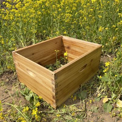 Chine Hot sale deep box wax dipped beehive wooden beehive for beeskeeping beehive supplies à vendre