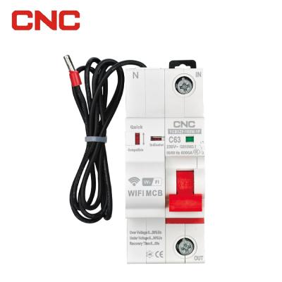 China 2p Wifi Smart 6KA Universal Circuit Breaker for sale