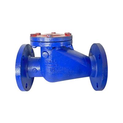 China Check Valve General Wholesale Customized Low Pressure 1.6mpa High Quality One Way Swing Check Valve for sale