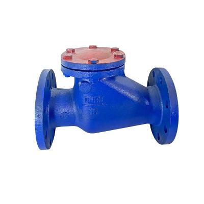 China General Valve High Quality 1/2in-16in Low Pressure 1.6mpa Custom Low Pressure 1.6mpa Self Operated Check Valve for sale