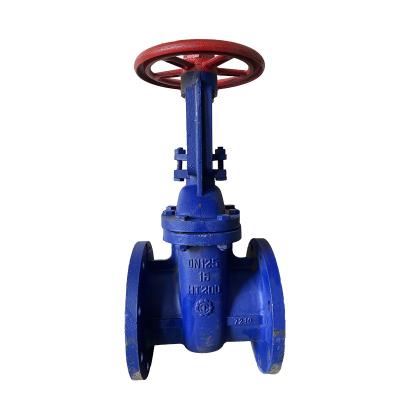 China Factory Wholesale Custom Factory Wholesale High Quality Flange High Quality Blue Gate Valve Gate Valve for sale