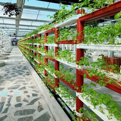 China 2021 OMANA Best Vegetable Planting Greenhouse Used Farm Equipment Hydroponics System Vertical for sale