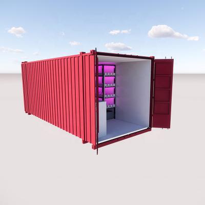 China 2021 Vegetable Growing Lettuce Growing Vertical Shipping Container Hydroponic Farms for sale