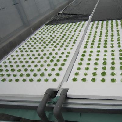 China Raft Dwc Raft Beds Hydroponics Vegetable Planting Floating Planting Rafts for sale