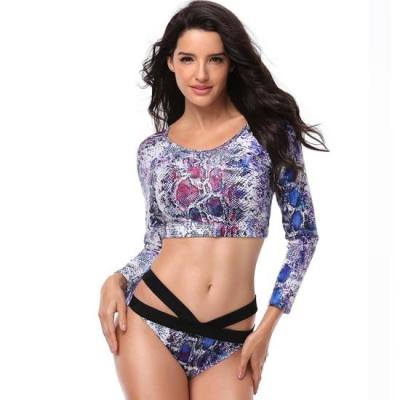 China Factory Wholesale Antibacterial High Quality Long Sleeve High Waist Snake Print Pattern Rashguard Swimwear Plus Size Swimwear for sale