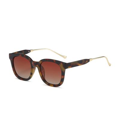 China Women sunglasses INS Hot Sale Fashion Retro Trendy UV400 Sunny Classic Square Polarized Sunglasses for Women for sale