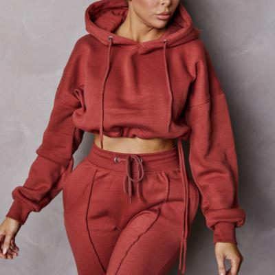 China Custom Winter Woman Logo Anti-wrinkle Plus Size Streetwear Hoodie Wholesale Crop Top Hoodies For Women for sale