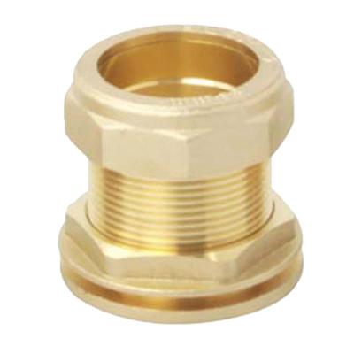 China Threaded 15 22 Mm Forged Straight Threaded Brass Water Tank Connector for sale