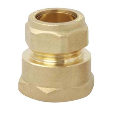 China Double Ferrule Compression Fitting Tubing Equal Female Connectors Brass Ferrule Type for sale