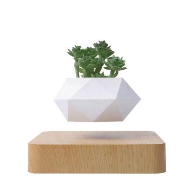 China Home Decoration Potted Creative and Unique Rotating Floating Pot Plant Bonsai Gifts Making Modern Pot Levitation for sale