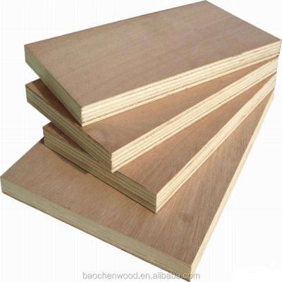 China WATER RESISTANT Commercial Plywood Bintangor Okoume Birch Pine Faced Plywood for sale