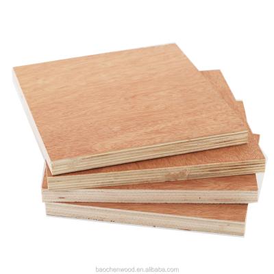 China Plain Plywood Philippine Standard Size Cheapest Price Contemporary for sale