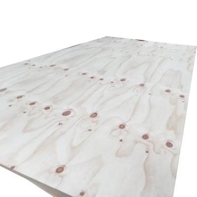 China Modern multi use commercial grade cdx pine plywood for sale