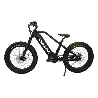 China Aluminum alloy Likesmile e brake system 1000w hydraulic electric mountain bikes for hunting for sale