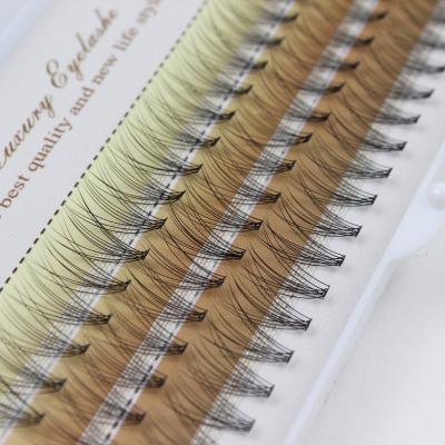 China Full Volume 10D Premade Fans Short Rod 0.07 Eyelash Extension Fans Premade Volume Fan Lashes XL Tray Eyelash Extension for sale