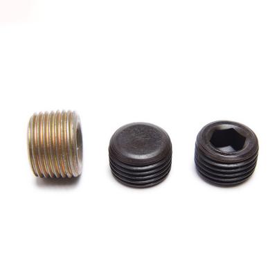 中国 Metric Black Oxide Hexagon Socket Pipe Plugs Carbon Steel 販売のため