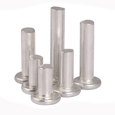 中国 SUS304 / SUS316 Stainless Steel Flat Round Head Rivets Solid 販売のため