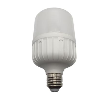 China Body LED Theme Park Manufacturer SMD LED T80 Plastic And Aluminum 20W Lamp Bulb for sale