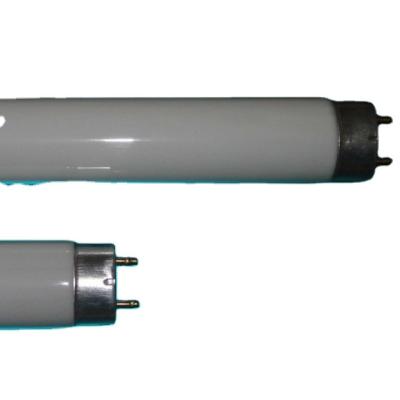 China HOT SALE T8 Fluorescent Tube Fluorescent Lamp 10W/15W/18W/36W/58W Directly for sale