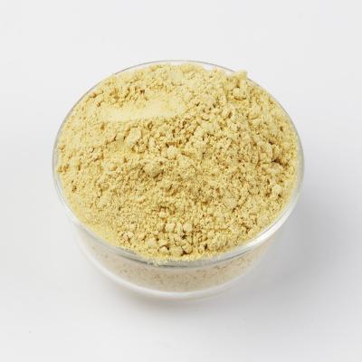 China AD Yellow Ginger Powder Dry Hot Dehydrated Ginger Spice Powder for sale