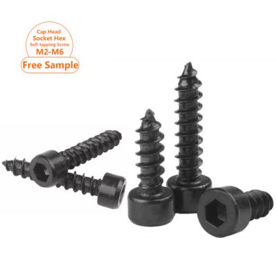 China Wholesale Cheese Round Black Soft Head Hex Hex Socket Hex Self Tapping Screw M2 M3 M4 M5 M6 for sale