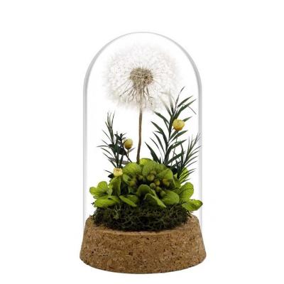 China Wholesale antique home decoration collectibles factories gift display home decor glass display dome bell for sale