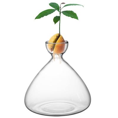 China Modern Wholesale Decoration Large Body Garden Minimalism Factory Avocado Clear Glass Vase for sale